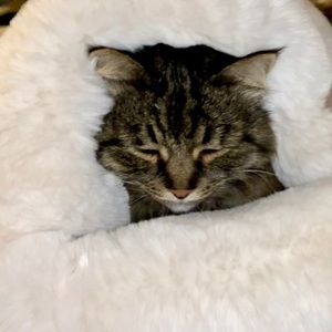 Meet your Posher, Elena